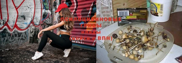 трава Алексеевка
