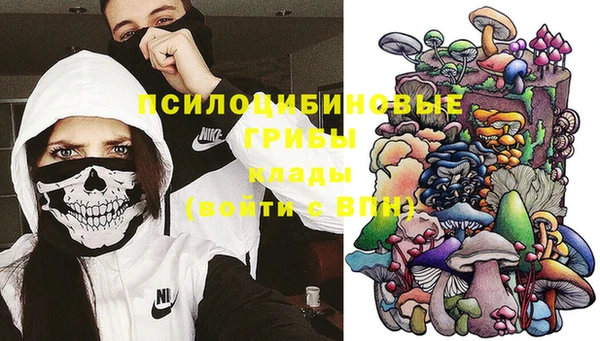 круглые Алзамай
