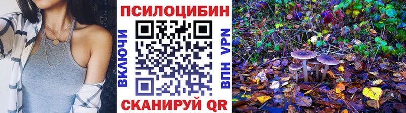 закладки  кракен как зайти  Псилоцибиновые грибы прущие грибы  Зеленокумск 