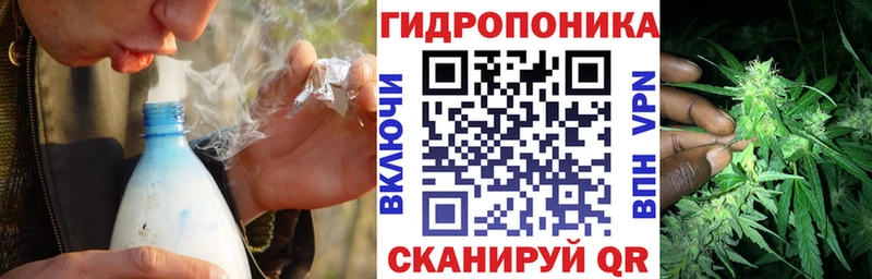 магазин  наркотиков  Зеленокумск  МЕГА ССЫЛКА  Каннабис сатива 